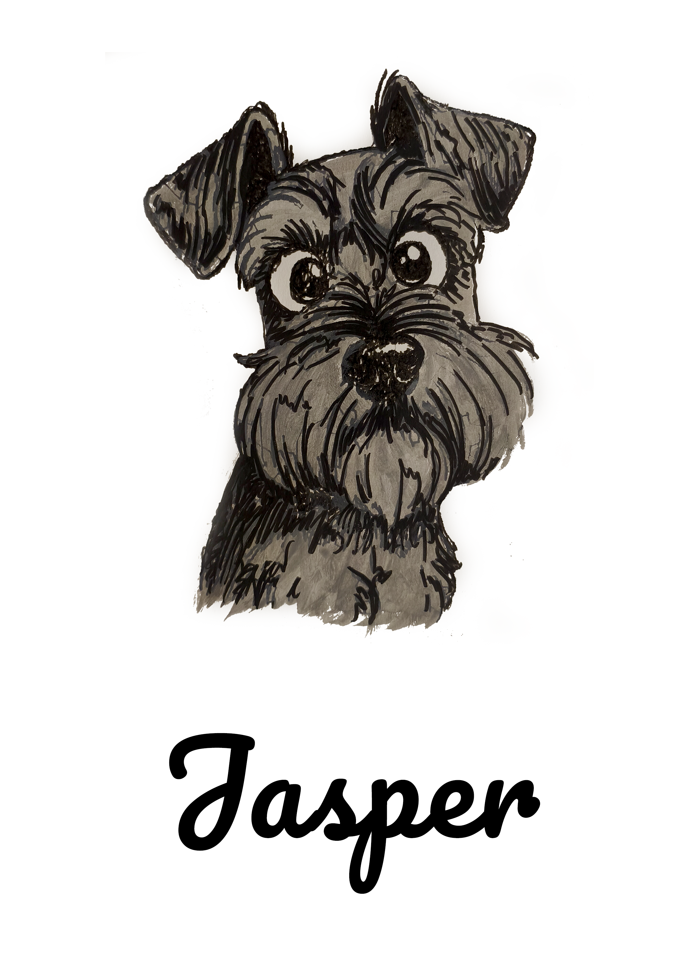 Jasper Dog