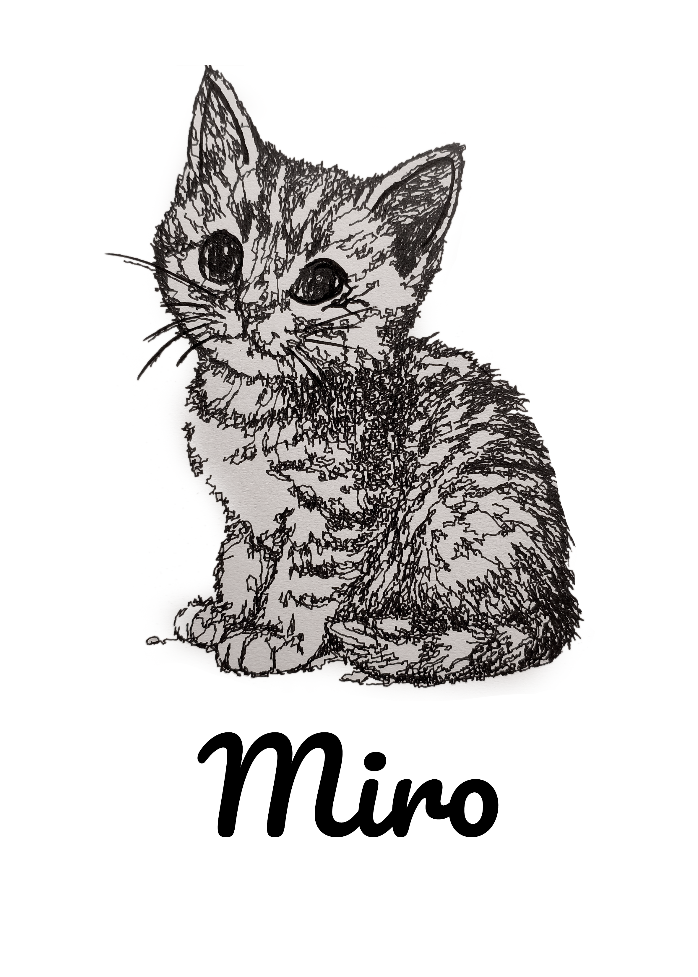 Mino Cat