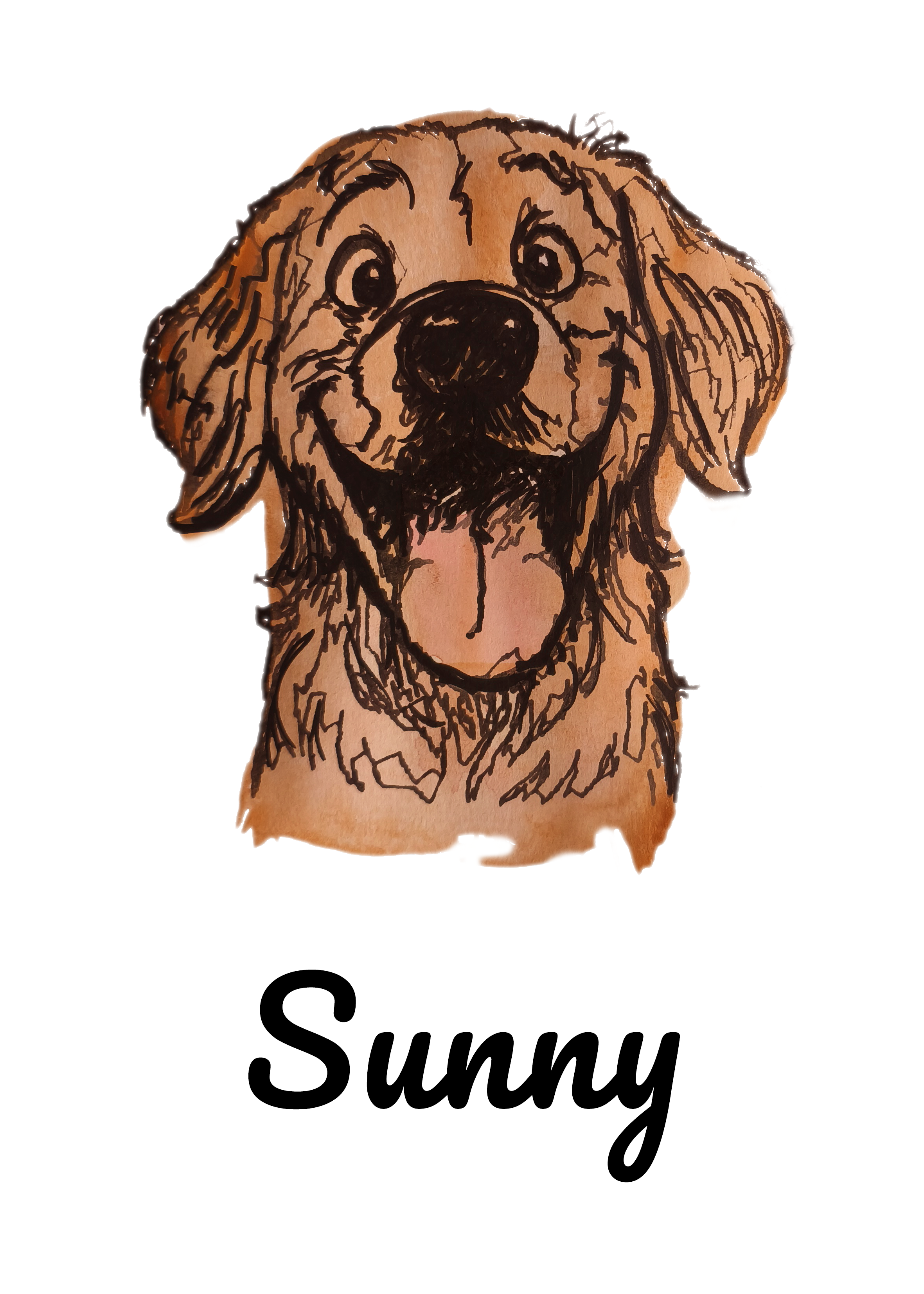 Sunny Dog
