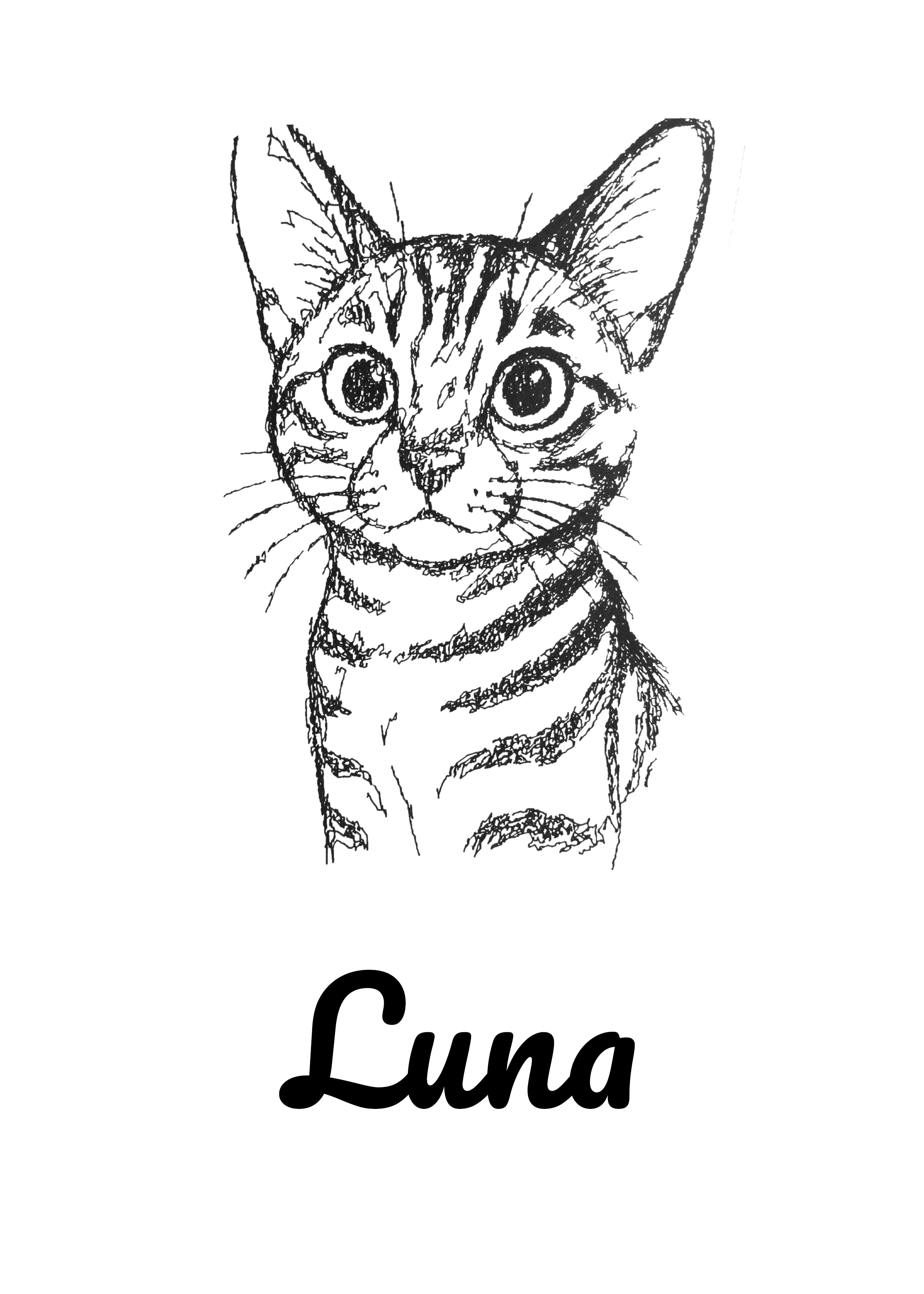 Luna Cat